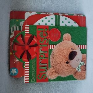 Christmas Surprise Board Book